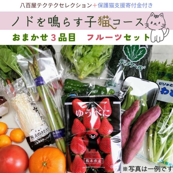 野菜果物セット ノドを鳴らす子猫コース 保護猫支援 寄付金 野菜10品目+果物3品目 直送 クール便...