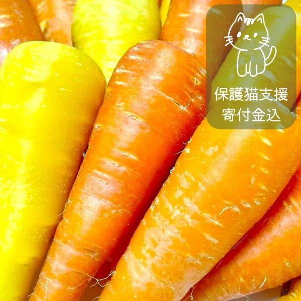 きゃろふく 生食用人参 保護猫支援 寄付金 カラフル サラダ 2kg 福井県福井市産 生産者指定 八...