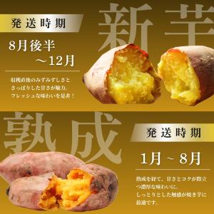 さつまいも 訳あり 5kg 新物 本場鹿児島 ...の詳細画像5