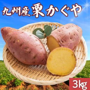 さつまいも 茨城県産他 紅はるか（約800g）さつまいも – ハヤシフルーツ