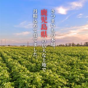 さつまいも 訳あり 紅はるか 1200g さつ...の詳細画像2