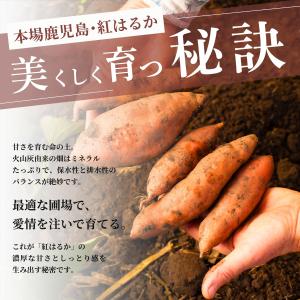 さつまいも 訳あり 紅はるか 1200g さつ...の詳細画像5