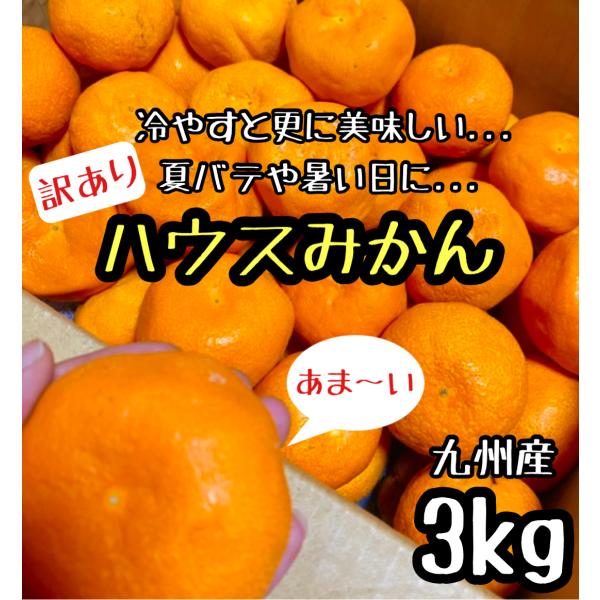 九州産【訳あり】日向夏みかん 家庭用3kg 文旦/土佐小夏/ニューサマーオレンジ /甘夏/不知火/日...