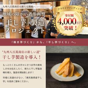 干し芋 訳あり 250g2袋 焼き芋500g1...の詳細画像2
