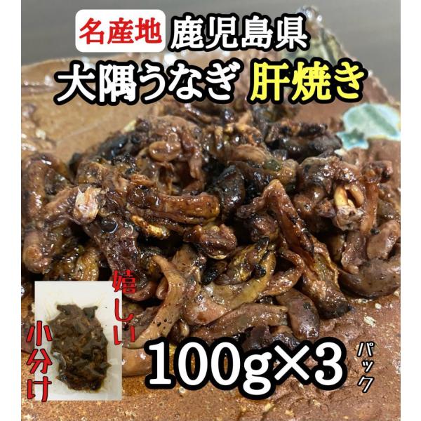 絶品 珍味【大隅うなぎ】肝焼き 100g×3 おつまみ 鰻蒲焼 スルメ好きに