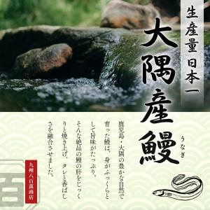 絶品 珍味【大隅うなぎ】肝焼き 100g×3 ...の詳細画像1