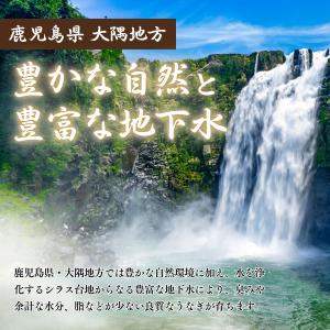 絶品 珍味【大隅うなぎ】肝焼き 100g×3 ...の詳細画像2