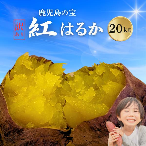 さつまいも 紅はるか【2026年新物】鹿児島県産 20kg 新芋のフレッシュな味わい◎ 【8月後半か...