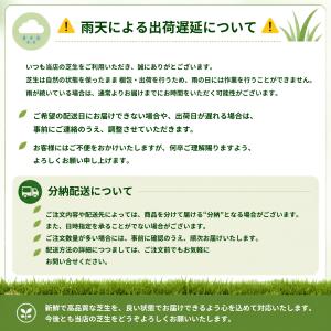 芝生 天然芝 ＼プロ御用達!/高麗芝 3平米 ...の詳細画像3