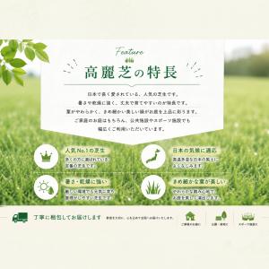 芝生 天然芝 ＼プロ御用達!/高麗芝 3平米 ...の詳細画像4