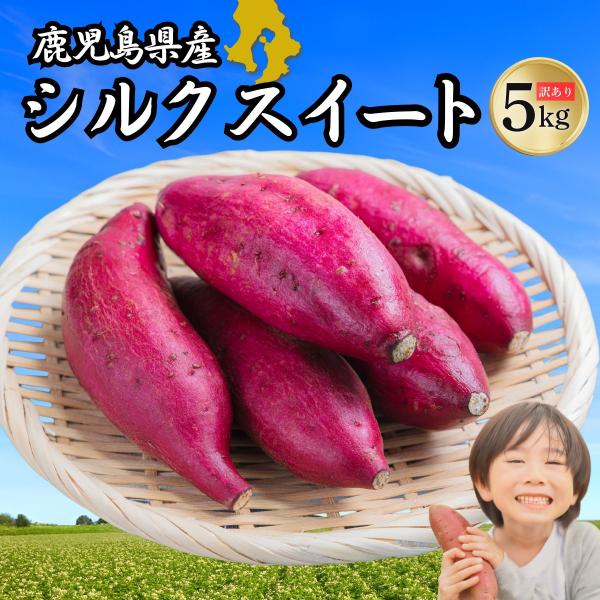 さつまいも 訳あり シルクスイート 5kg【9月中旬より掘りたてを順次発送】 さつま芋 サツマイモ ...
