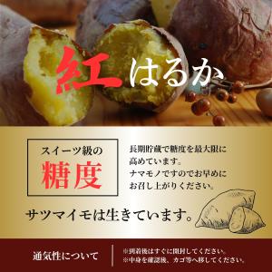 さつまいも 訳あり ぷち芋サイズ 紅はるか 5...の詳細画像3
