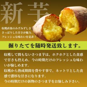 【2026年新物】さつまいも 訳あり シルクス...の詳細画像3