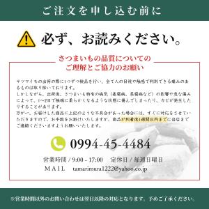 【2026年新物】さつまいも 訳あり シルクス...の詳細画像5