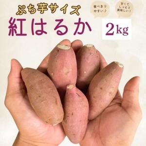 さつまいも 訳あり 栗かぐや 5kg サツマイモ 紅はるか 鳴門金時好きに