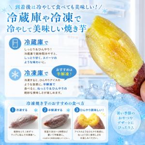 干し芋好きにも◎ 焼き芋 500g 【お試し】...の詳細画像1