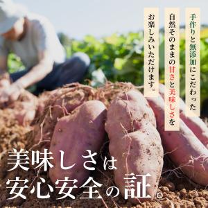 干し芋好きにも◎ 焼き芋 500g 【お試し】...の詳細画像3