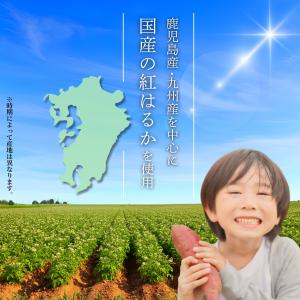 干し芋好きにも◎ 焼き芋 500g 【お試し】...の詳細画像4