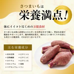 干し芋好きにも◎ 焼き芋 500g 【お試し】...の詳細画像5
