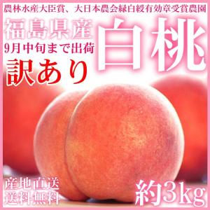 訳あり 桃 約3kg(9〜11玉入り) 福島県産 白桃 8月末から9月中旬まで順次