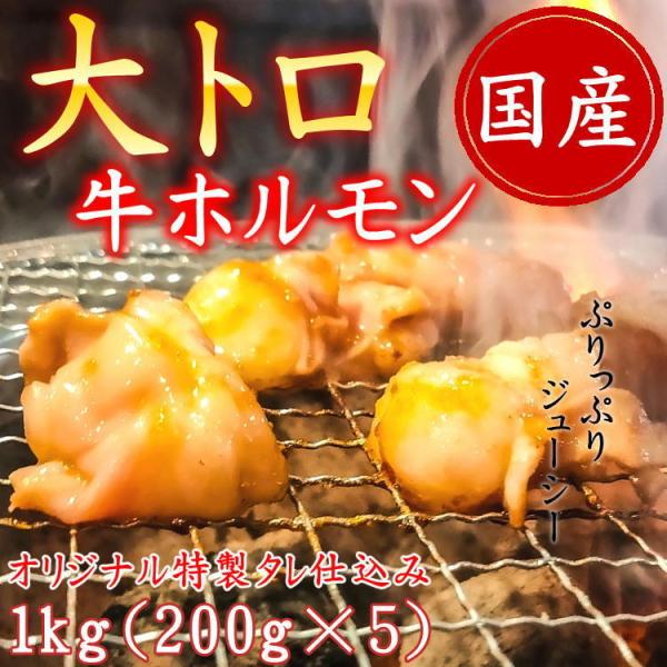 ホルモン 国産 焼肉 肉 牛肉 和牛 味付け 大トロ ホルモン もつ 小腸 メガ盛り 1kg（200...