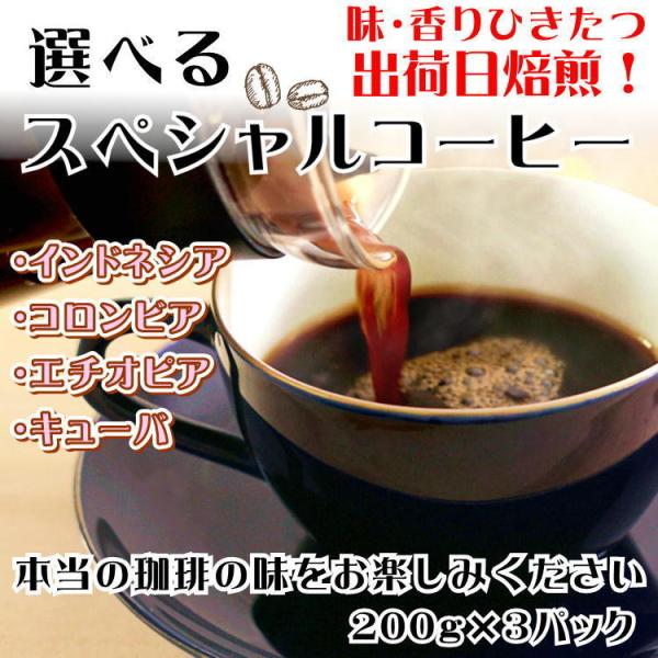 仙臺 珈琲店 コーヒー 豆 選べる 3種 ギフトセット 600g(200g×3※生豆時720g) 焙...