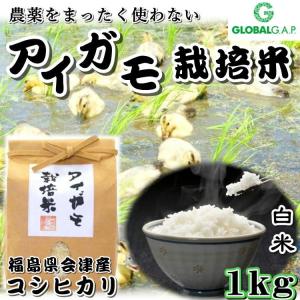 会津 合鴨農法 コシヒカリ 1kg 白米 令和4年産 新米 福島 お米 こしひかり あいがも 送料無料 無農薬｜yappari