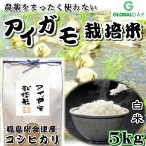 会津 合鴨農法 コシヒカリ 5kg 白米 令和4年度産 新米 福島 こしひかり お米 あいがも 送料無料 無農薬｜yappari