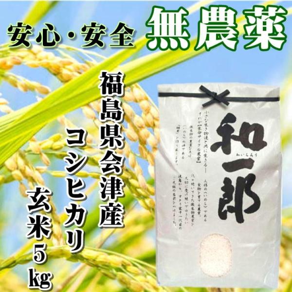 会津 酵素栽培米 コシヒカリ 5kg 和一郎 玄米 令和3年産 新米 こしひかり 福島 お米 送料無...