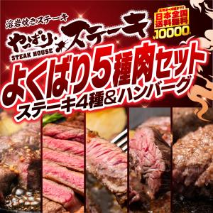 やっぱりステーキ  ステーキ肉 よくばり5種肉セット ミスジ 肩ロース サーロイン ランプ 牛100% ハンバーグ ギフト BBQ｜yapparisteakshop