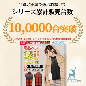 電熱ベスト 日本製 繊維ヒーター 27エリア発...の詳細画像1