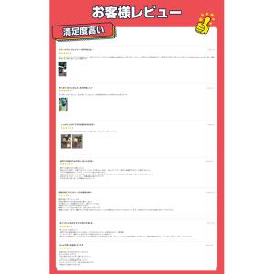 スプレーガン 電動 18Vバッテリー互換対応 ...の詳細画像1