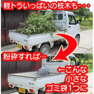 ガーデンシュレッダー ガーデンバッグ付 保証延...の詳細画像3