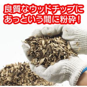 ガーデンシュレッダー ガーデンバッグ付 保証延...の詳細画像4