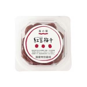 リ・コエンザイム ビオソルト 300g : ナチュラル生活お届け便 - 通販