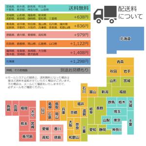 前方がスロープになっているオープンタイプ ロン...の詳細画像3
