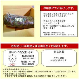 【天然ハイゴケトレー1枚分(約51cm×34c...の詳細画像4