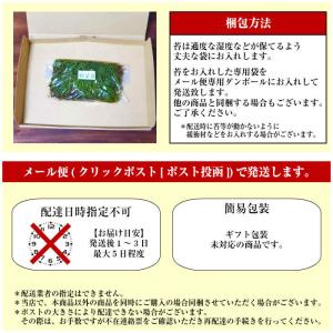 苔 苔玉 テラリウム 盆栽 【 天然 ハイゴケ...の詳細画像5