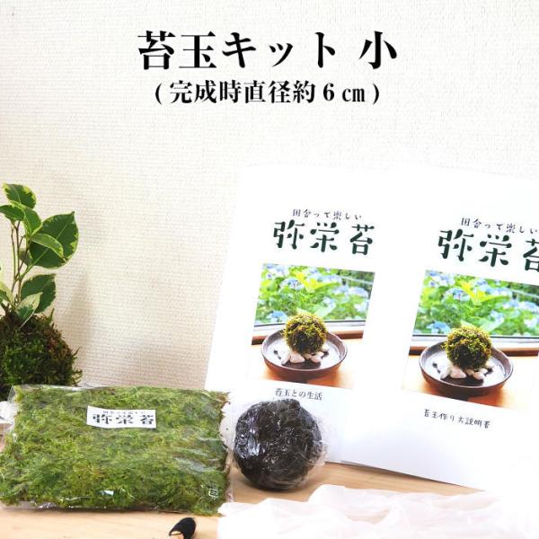苔玉の作り方 苔玉キット 小  手作り キット 初心者 入門セット コケタマ 材料 説明書付
