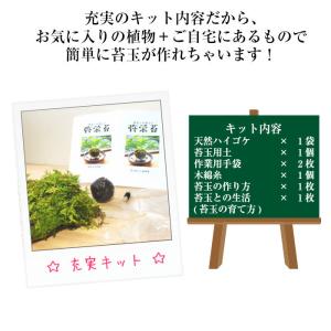 苔玉の作り方 苔玉キット 小 手作り キット ...の詳細画像4