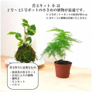 苔玉の作り方 苔玉キット 小 手作り キット ...の詳細画像5