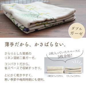 フェイスタオル ガーゼ 2枚セット 日本製 薄...の詳細画像3