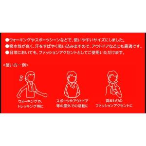 スポーツタオル マフラータオル PUMA プー...の詳細画像4