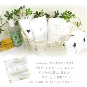 ハンカチ 二重ガーゼ 薄手 速乾 日本製 プレ...の詳細画像2