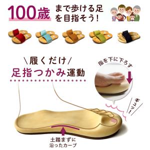 ダイエットスリッパ 健康サンダル トレーニング...の詳細画像1