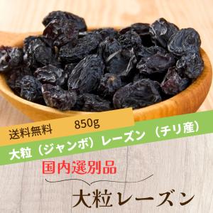 国内選別品 レーズン お試し大粒干し葡萄 850...の商品画像