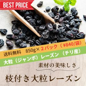 枝つきレーズン お試し大粒干し葡萄 850g×２パック 干しぶどう チリ　ジャンボレーズン｜yasashiigranola