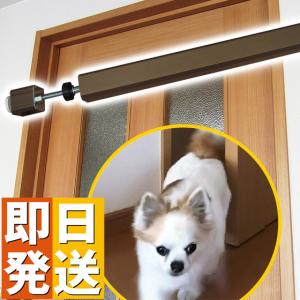 ペットドア わんにゃんフリーパス 工事不要 簡単設置