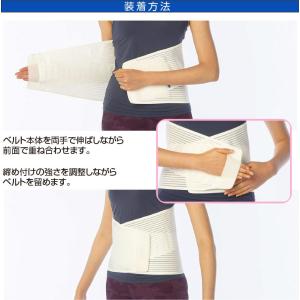 チュアンヌ ダイナクロス 腰サポーター (腰用...の詳細画像4