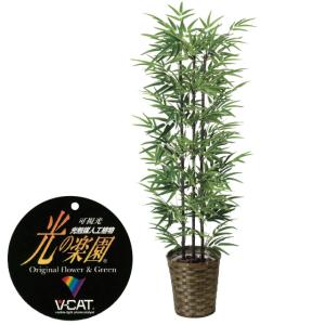 黒竹 花 ガーデニング の商品一覧 通販 Yahoo ショッピング